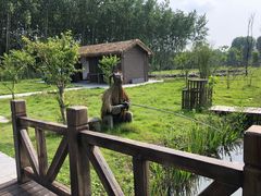 -溱湖国家湿地公园