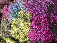 -双季花艺园艺市场(浦东店)