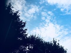 -天河体育中心