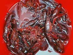 -梁鸿国家湿地公园