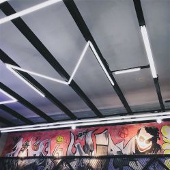 -SALON V