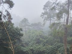 -白云山风景名胜区