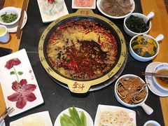 -一斗火锅·招财羊毛肚(北温泉九号店)