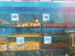 -范饭椰林川湘味海鲜·椰子鸡(三亚湾椰梦长廊店)