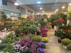 -双季花艺园艺市场(浦东店)
