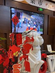 -洁铭新加坡医美