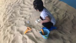 -恐龙探索乐园(磁器口店)