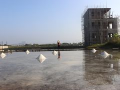 -盐洲岛
