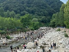 -沣峪口