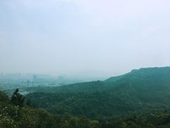-灵岩山风景区