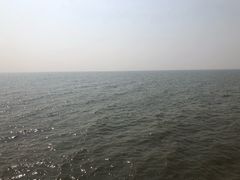 -巢湖姥山岛