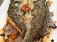 肉饼蒸黄花鱼-品鱼庄酒家(新世界大酒店店)