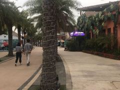 -三亚海昌梦幻海洋不夜城