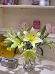 -北京俪婴妇产医院(朝阳大悦城店)