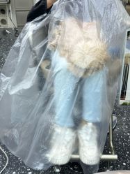 -Hair Co.一间沙龙