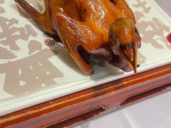 -大鸽饭(北京路店)