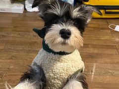 -佳雯宠物医院(四明中路分院)