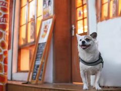 -长颈鹿咖啡(大学路店)