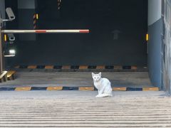 -上海动漫博物馆