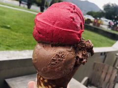 -Patagonia Chocolates(皇后镇店)