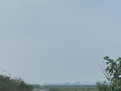 -奉贤海滩