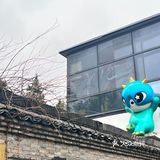 这个院子，有两副面孔[狗头][狗头]