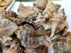 -三亚火车头万人海鲜广场