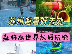 -苏州乐园森林水世界