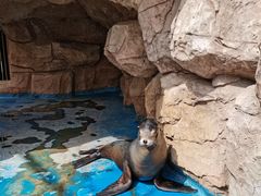 -华夏文旅海洋公园