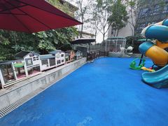 -上海崇明金茂凯悦酒店