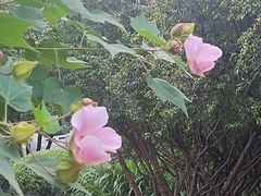 -四里河滨水生态公园