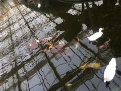 -晶宝温泉农庄