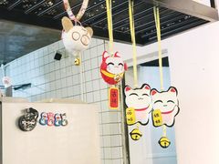 -喵屿·大理花园猫咖