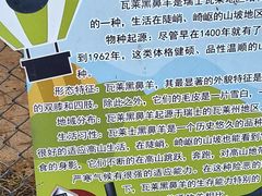 -保定市动物园