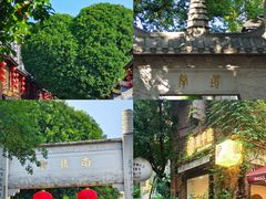 -聚春园自助餐厅(东街口店)