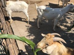 -太阳岛度假酒店