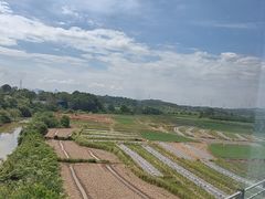 -会仙湿地