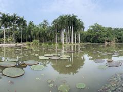 -中国科学院西双版纳热带植物园