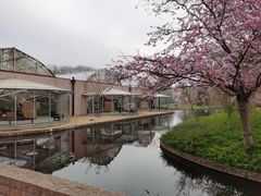 -库肯霍夫公园