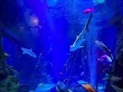 -沈阳海洋探索中心