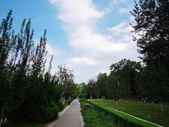 -元大都城垣遗址公园