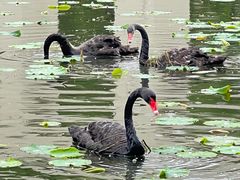 -长春世界雕塑园冰雪艺术天地