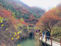 -黄花溪