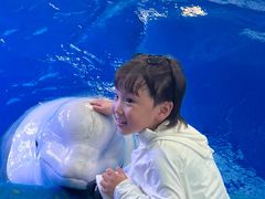 -海合安成都极地海洋公园