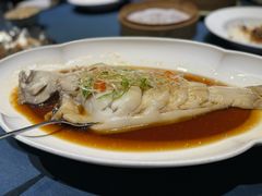 -金狮麟·新豫菜(金码大厦店)