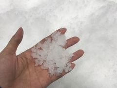 -Mr·Kuma酷么先生雪之乐园