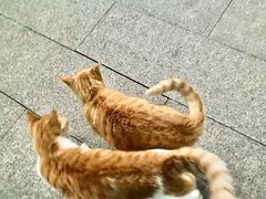 -福州开元寺