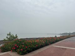 -深圳湾公园(南山区)