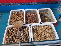 -那些年记忆烧烤