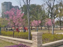-新江湾城公园